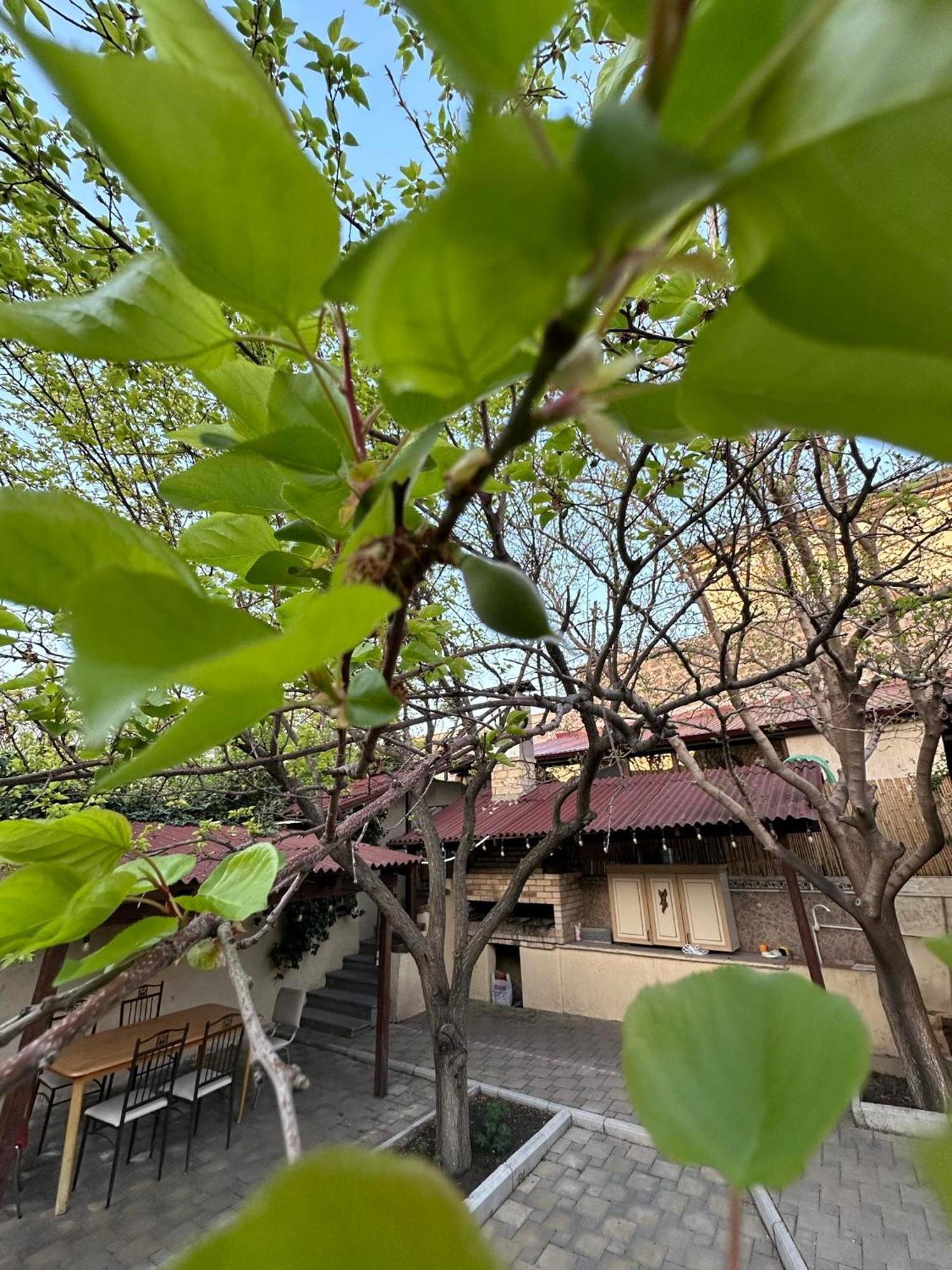 Popock City Center เยเรวาน ภายนอก รูปภาพ